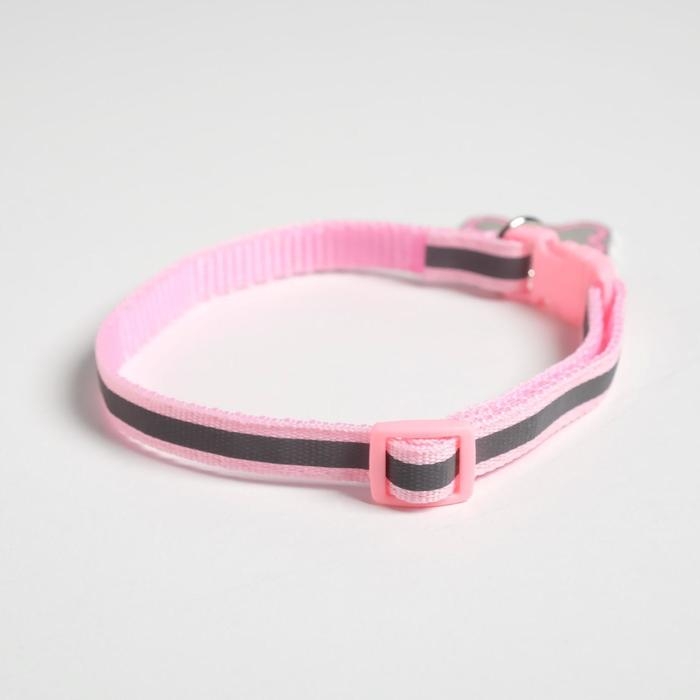 Ошейник светоотражающий с адресником, 30×1 см, капрон, розовый Ошейник светоотражающий с адресником, 30×1 см, капрон, розовый
