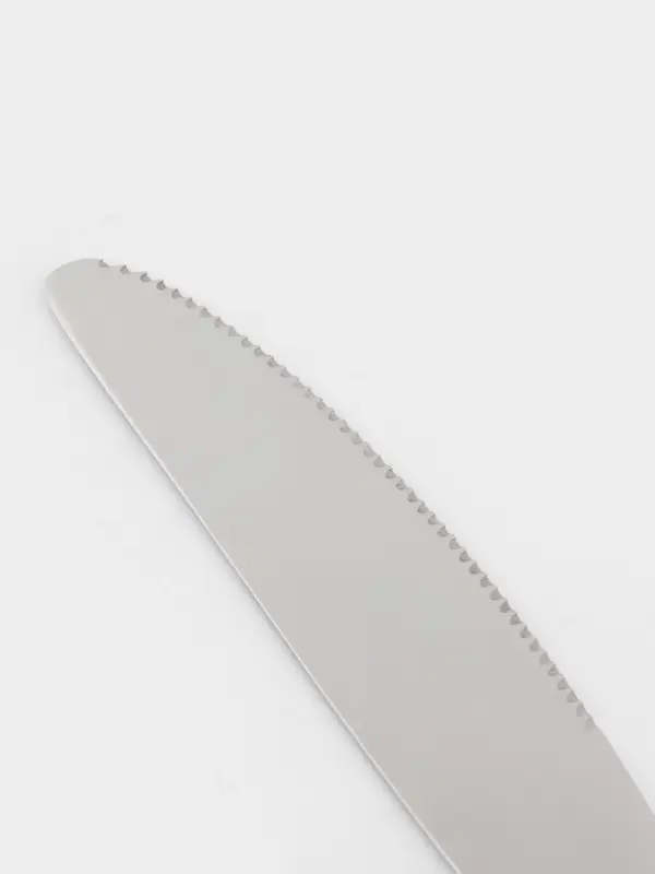 Нож столовый Доляна &laquo;София&raquo;, длина 20.8 см, толщина 4 мм, нержавеющая сталь, серебристый