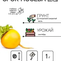 Семена Репа "Петровская 1", 1 г