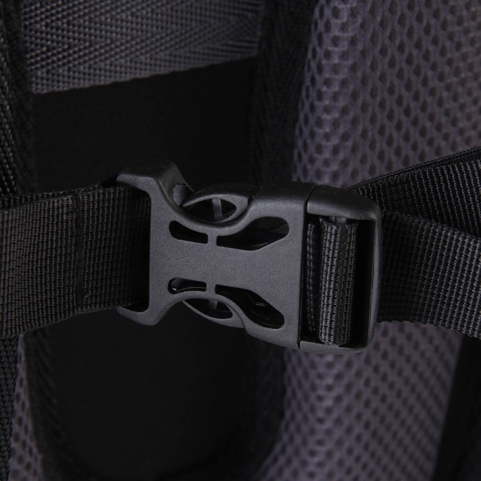 Рюкзак школьный «1 сентября: Skull» 39x32x14 см Рюкзак школьный «1 сентября: Skull» 39x32x14 см