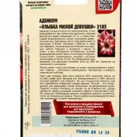 Семена цветов Адениум Улыбка Милой Девушки 3185  3 шт.  12.29 г.
