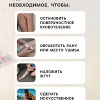 Автомобильная аптечка первой помощи &laquo;ФЭСТ&raquo;, дорожная, перечень №2, красная