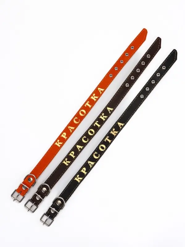 Ошейник однослойный Ошейник однослойный "Красотка", 2.5 см, тиснение фольгой, микс цветов