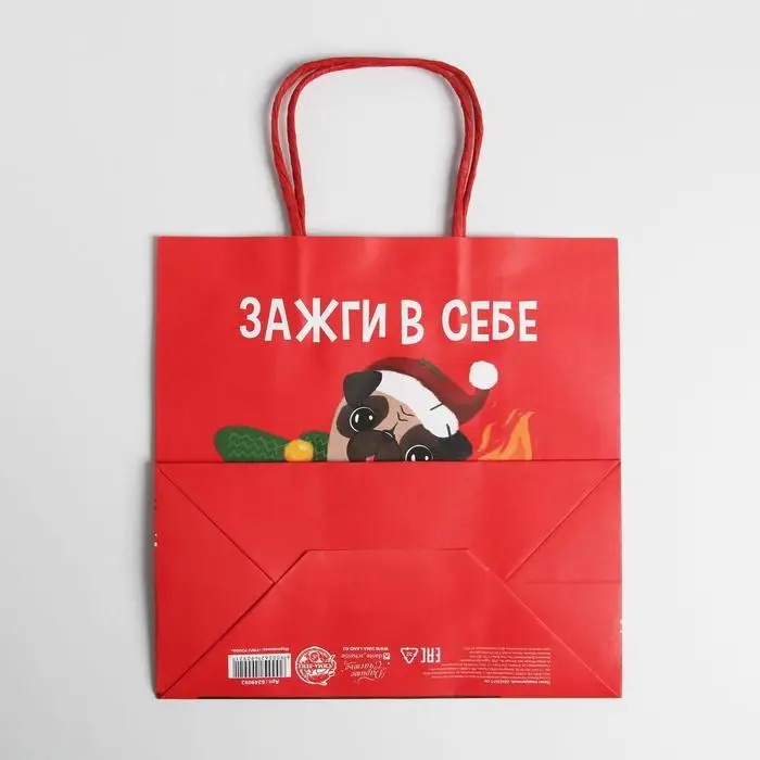 Пакет подарочный новогодний «Зажги в себе», 22 х 22 х 11 см Пакет подарочный новогодний «Зажги в себе», 22 х 22 х 11 см