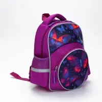 Рюкзак школьный, с эргономичной спинкой, 2 отделения &laquo;Бабочки&raquo;