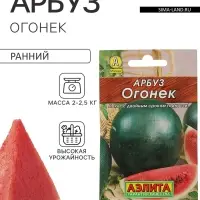 Семена Арбуз &laquo;Огонёк&raquo;, 15 шт., &laquo;Аэлита&raquo;