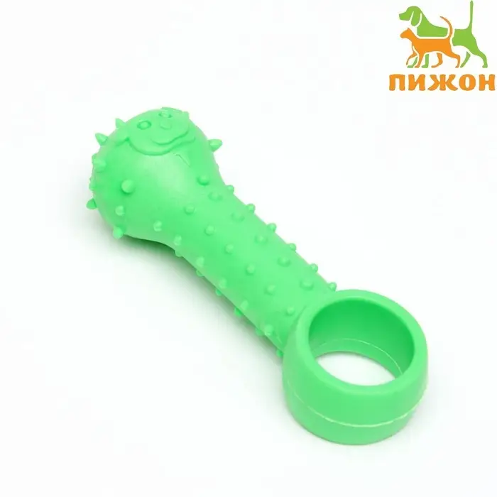 Игрушка-дразнилка для собак &laquo;Поймай меня!&raquo;, 9.5 см, TPR, зелёная