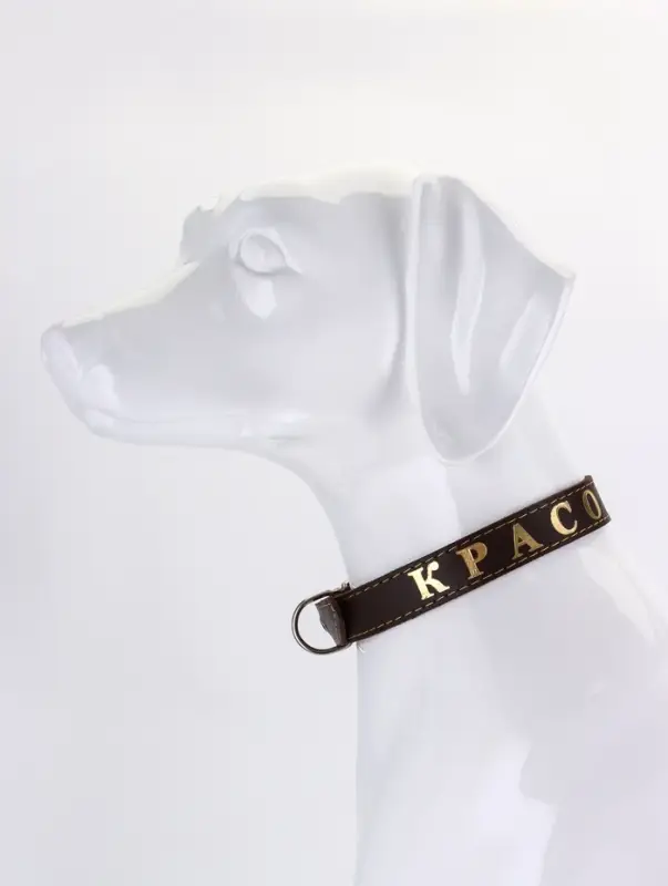 Ошейник однослойный Ошейник однослойный "Красотка", 2.5 см, тиснение фольгой, микс цветов