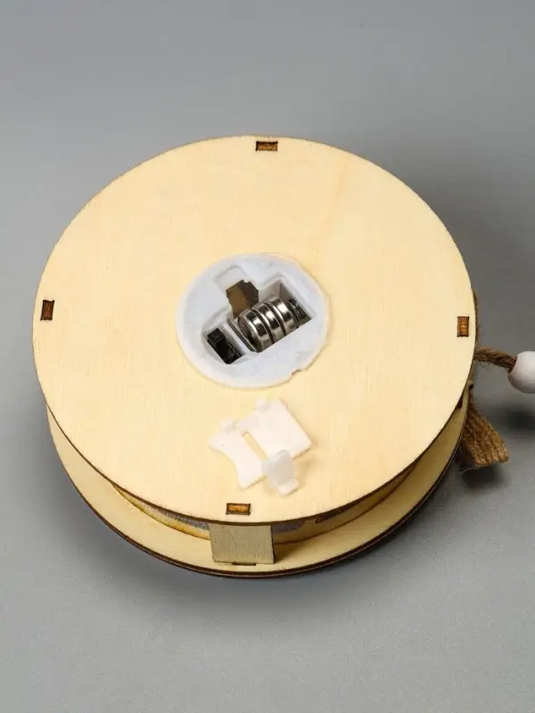 Ёлочная игрушка &laquo;Шар с веткой&raquo;, 10&times;10&times;2 см, от батареек, свечение тёплое белое