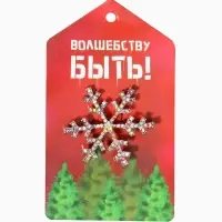 Брошь новогодняя &laquo;Снежинка&raquo;, маленькая, радужная в серебре