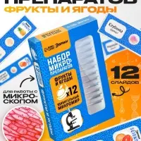Набор для опытов &laquo;Набор микропрепаратов&raquo;, фрукты и ягоды