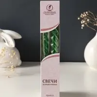 Набор свечей витых, 2.3&times;24.5 см, 5 ч, 50 г, 2 шт., т. зелёный, в подарочной коробке