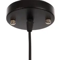 Светильник потолочный BayerLux &laquo;Кэлшот&raquo; (Сияние), 1&times;40 Вт, Е27, черный, 13&times;13&times;20+100 см