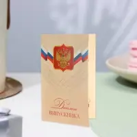 Диплом - книжка на выпускной &laquo;Выпускнику&raquo;, А5