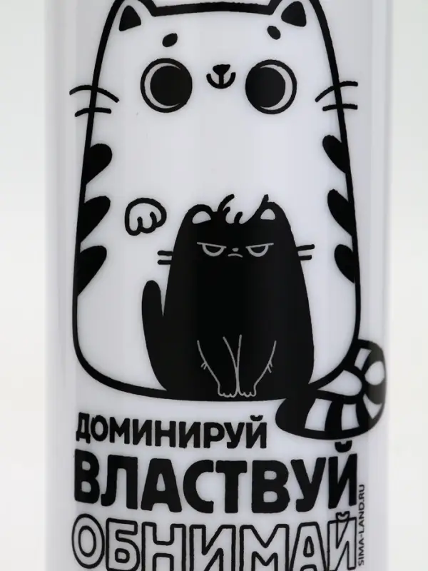Бутылка для воды пластиковая &laquo;Обнимай и властвуй&raquo;, 700 мл