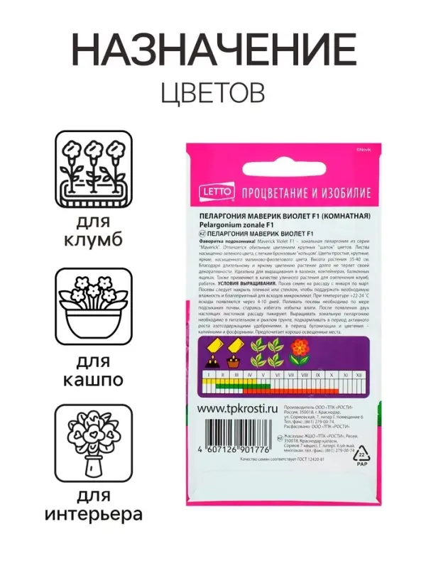Семена комнатных цветов Пеларгония &laquo;Виолет&raquo;, 4 шт., &laquo;Агроуспех&raquo;