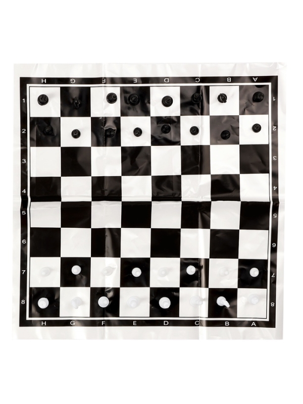 Шахматы 22 х 22 см, король h-2.1 см, d-0.9 см, фигуры пластик Шахматы 22 х 22 см, король h-2.1 см, d-0.9 см, фигуры пластик