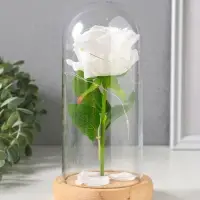 Фигурка световая колба RISALUX &laquo;Роза&raquo;, LED - ночник, 3&times;ААА, белый, 9.5&times;9.5&times;19.5 см