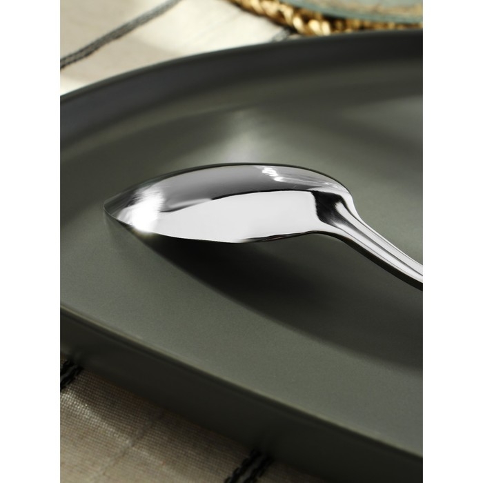 Ложка столовая из нержавеющей стали, длина 20 см, цвет серебряный Ложка столовая из нержавеющей стали, длина 20 см, цвет серебряный