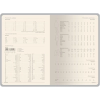 Ежедневник недатированный А5 MEGAPOLIS COLOR иск.кожа БОРДОВЫЙ 3-753/02