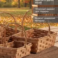 Корзина плетёная для хранения Tero, лоза, с ручкой, коричневая, набор 4 шт.