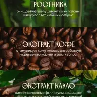 Шампунь для волос Solzao укрепление и защита от ломкости, 400 мл