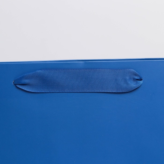 Пакет подарочный ламинированный, упаковка, «Синий», L 31 х 40 х 11.5 см