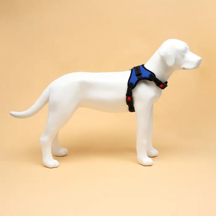 Шлейка К7, размер L, ОГ 64-86 см, вес 18- 27.5 кг, мягкая, светоотражающая, синяя