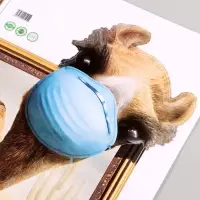 Интерьерная наклейка 3Д TAKE IT EASY &laquo;Верблюд с приветом&raquo;, 70&times;50 см