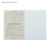 Журнал учёта работы педагога дополнительного образования в объединении (секции, клубе, кружке) А4, 20 листов, обложка офсет 120 г/м², блок писчая бумага 60 г/м²