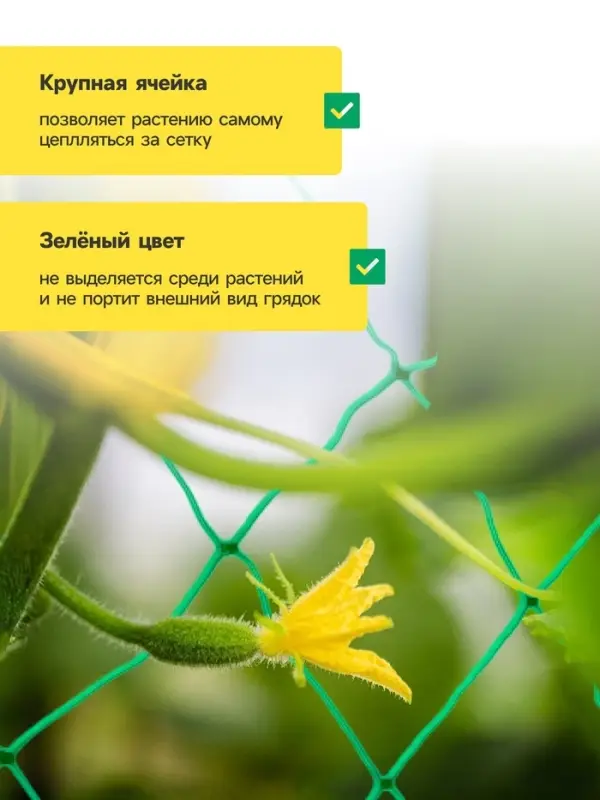 Сетка садовая для огурцов, шпалерная, 5&times;2 м, ячейка 15&times;15 см, Greengo