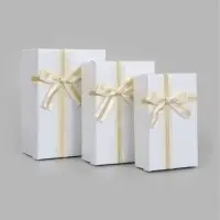 Набор подарочных коробок 3 в 1, прямоугольные 23&times;16&times;9.5 21&times;14&times;8.0 19&times;12&times;6.5 см