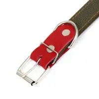 Ошейник брезентовый двухслойный, 72&times;3.5 см, ОШ 45-60 см, хаки