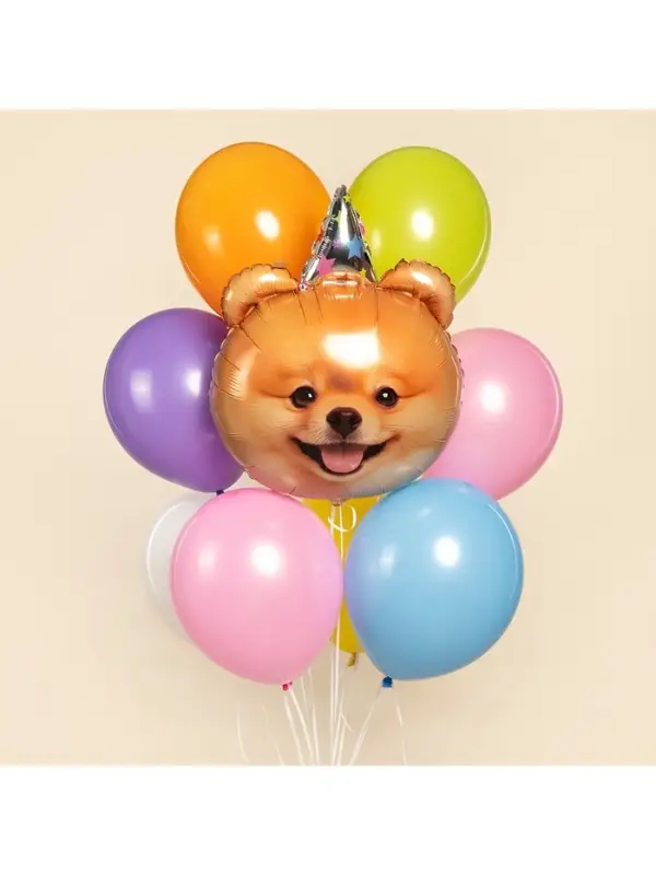 Воздушный шар фольгированный 28 Воздушный шар фольгированный 28" «Собака в колпачке»