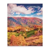 Набор тетрадей, 96 листов в клетку, Calligrata &laquo;Природа&raquo;, серые листы, 4 штуки