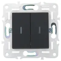SKANDY Выключатель 2-клавишный 10А SK-V04G графит IEK