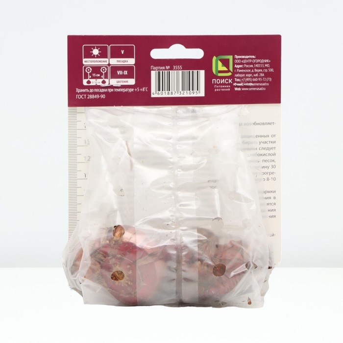 Гладиолус крупноцветковый «Магма», луковица в пакете с перфорацией, р-р 12/14, 5 шт.