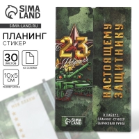 Подарочный набор, стикеры с липким слоем и ручка «23 февраля»