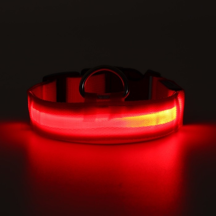 Ошейник с подсветкой размер S, ОШ 35-43 х 2,5 см, 3 режима свечения красный Ошейник с подсветкой размер S, ОШ 35-43 х 2,5 см, 3 режима свечения красный