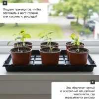Поддон для рассады, 55&times;30&times;5.6 см, пластик, чёрный, дно МИКС, Greengo