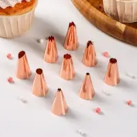 Набор насадок кондитерских Доляна, 1,8×3 см, 9 шт, цвет медный