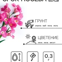 Семена цветов Маттиола двурогая "Вечерний аромат", смесь, 0,3 г Семена цветов Маттиола двурогая "Вечерний аромат", смесь, 0,3 г