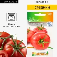 Семена Томат &laquo;Пантера&raquo;, F1, 5 шт., &laquo;Агросс&raquo;