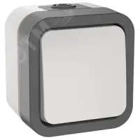 Выключатель двухполюсный одноклавишный TORS 10А IP55 белый