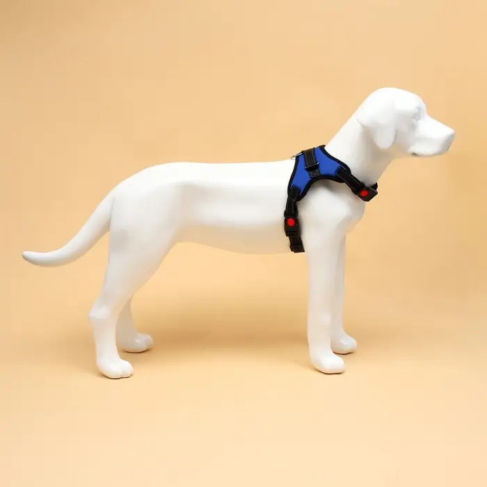 Шлейка К7, размер XL, ОГ 74-92 см, вес 28-47.5 кг, мягкая, светоотражающая, синяя