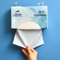 Полотенца бумажные д/дисп. Luscan Professional Zслож2слбелцел200л