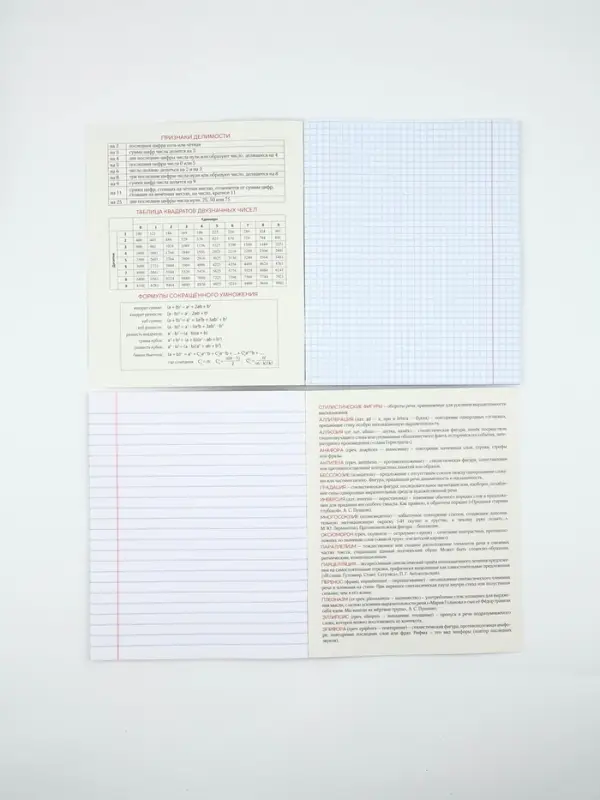 Тетради предметные, 36 л., набор из 12 шт., блок №1 &laquo;Нюд&raquo;