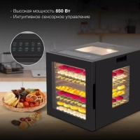 Сушка для фруктов и овощей HYFD-8804 20под. 850Вт