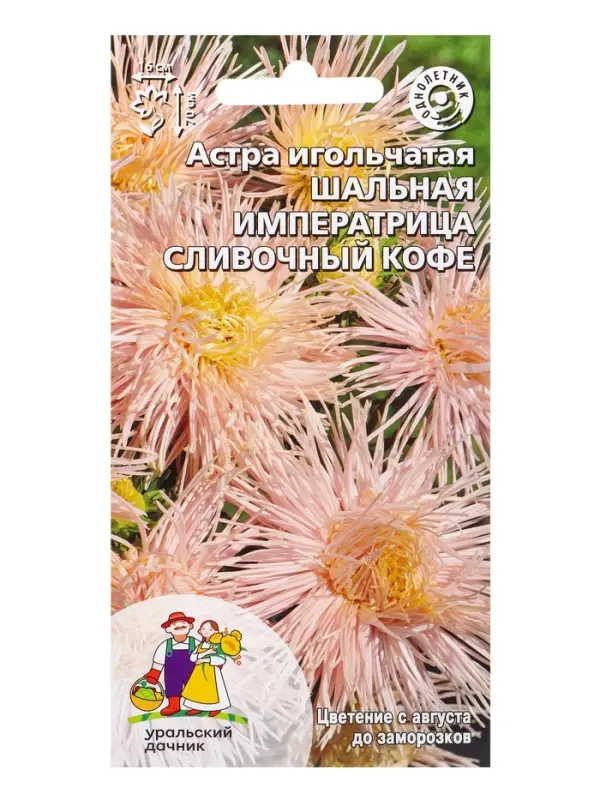 Семена Цветы Астра игольчатая Шальная императрица сливочный кофе (УД) Е/П , Е/П,  0,2 г.