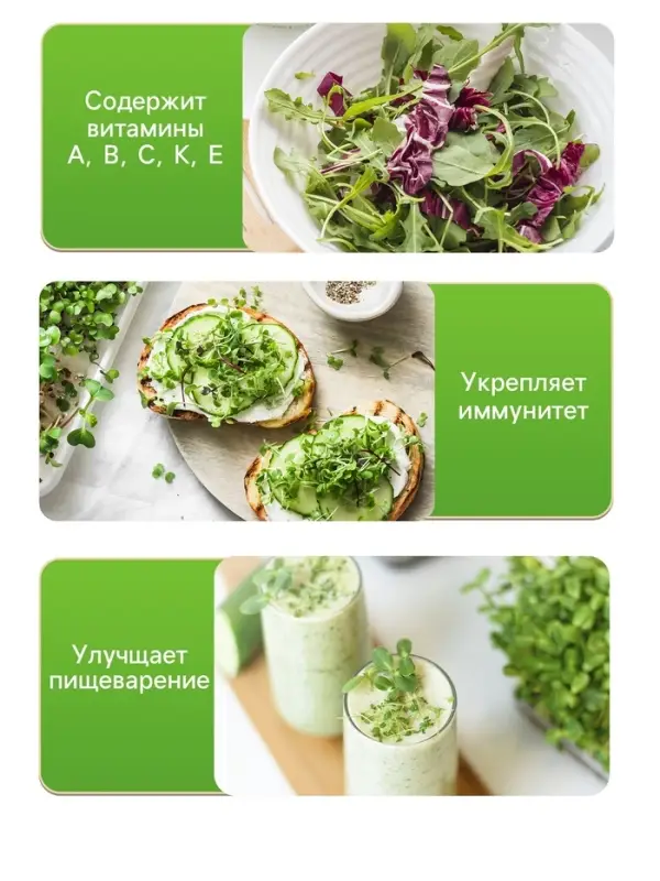 Семена Микрозелень Руккола, 5 г, &laquo;Рецепты дедушки Никиты&raquo;